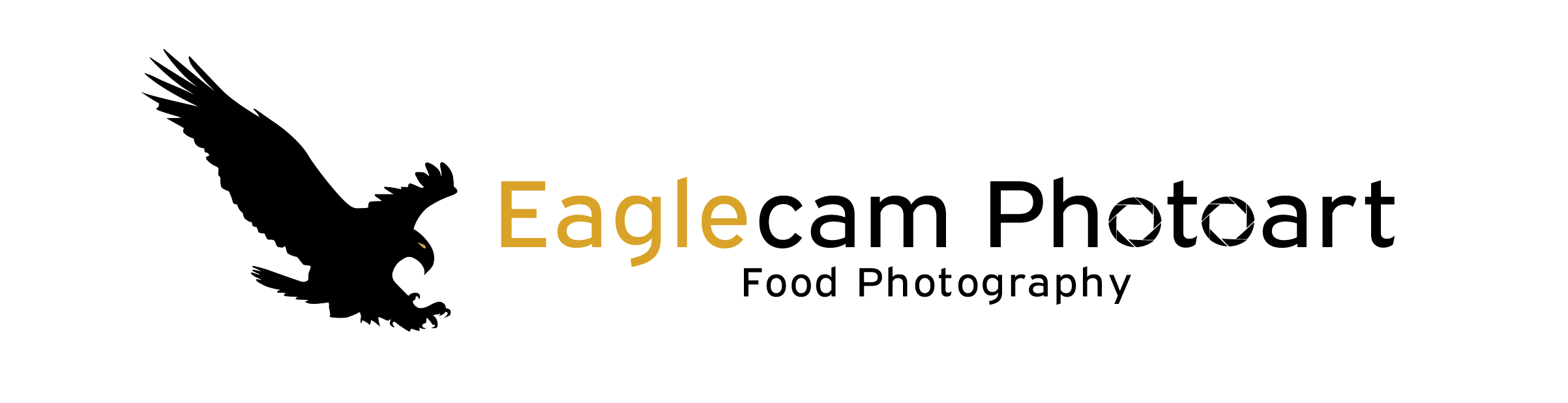 Eagle Cam Photo Art